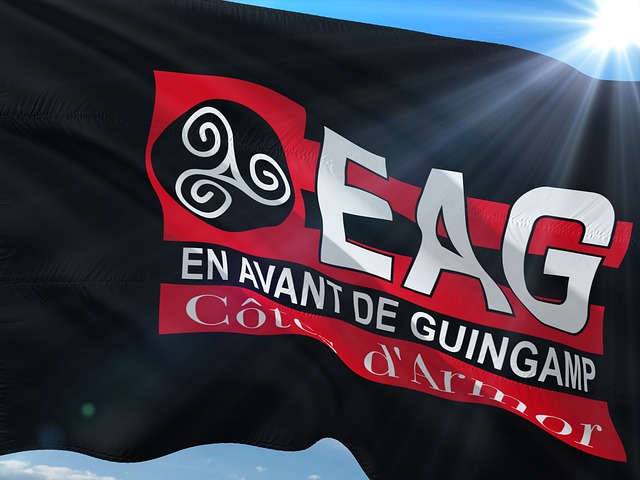 回馈