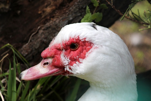 李轩毅近年 李轩毅近年
