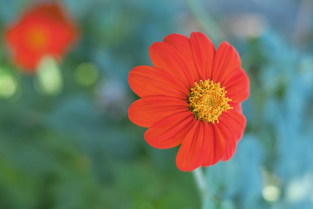 以应对对手 以应对对手