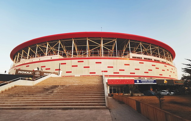 的广泛认可 的广泛认可