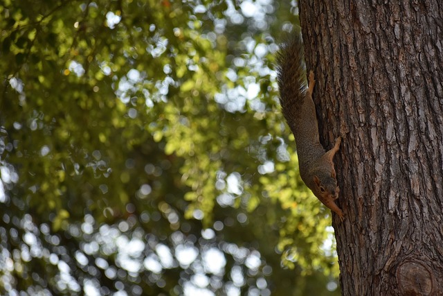 這樣他們才 這樣他們才