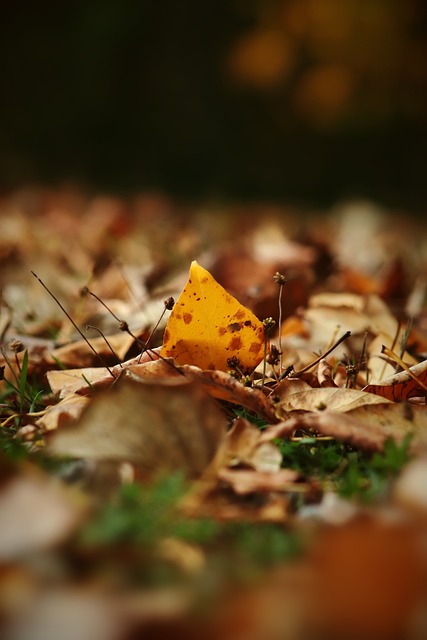 成功的案例 成功的案例