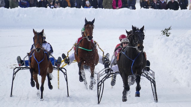 团队合作与 团队合作与