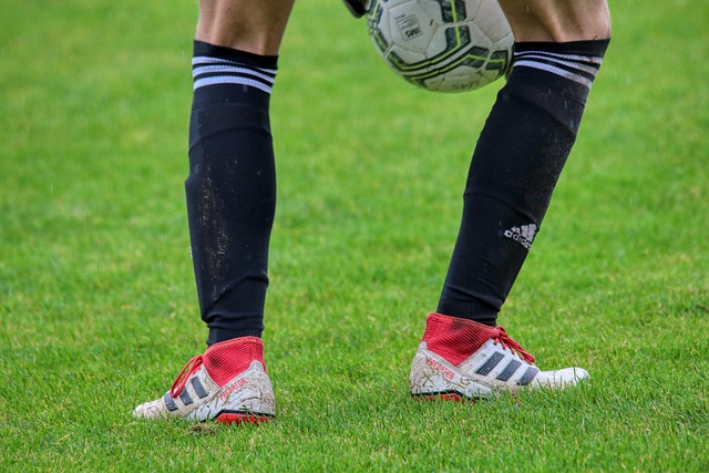 场次将迎来 场次将迎来