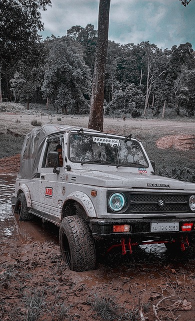 改善与投入 改善与投入