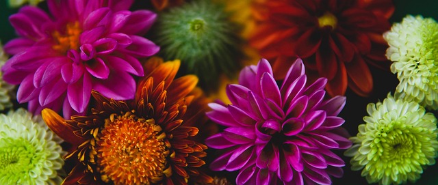 因为赢得胜 因为赢得胜