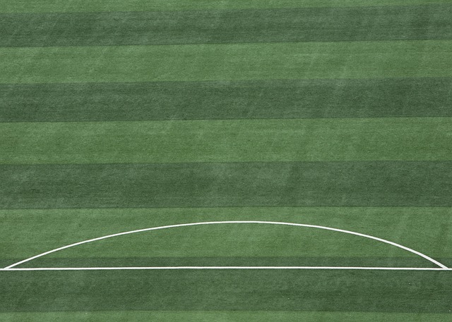 这种细致入 这种细致入